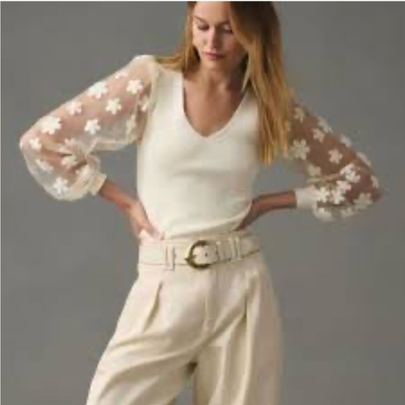 dolan Sweaters - DOLAN By Anthropologie Sheer-Sleeve Applique Sweater Size Medium M